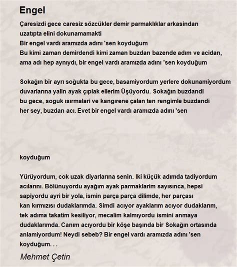Mehmet çetin şiirleri